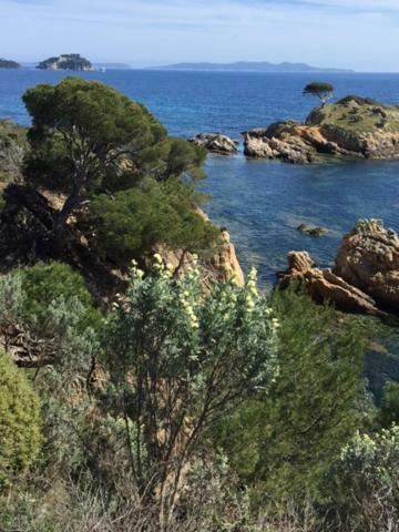 Ecrin De Verdure Sur Le Lavandou - Classement Tourisme 3 Etoiles Exterior foto